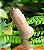 Carregador Veicular - GreenEcoo / Gshield - Imagem 3
