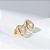 Brinco Gota Zircônia Incolor Banho de Ouro 18k - Imagem 1