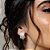 Ear Hook Cravejado Zircônias Banho de Ródio Branco - Imagem 2