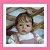 Bebê reborn kit Sandie - Imagem 2