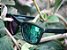 Óculos Yopp Camaleao - Verde - Imagem 2