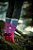 MEIA HUPI RAYA AZUL/ROSA COR: AZUL/ROSA.  TAM.: UNICO. - Imagem 4