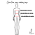 Saia Clochard ecojute - Imagem 5