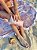 Kit Conchas - canga + beach pillow - Imagem 6