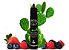 e-Liquid Juice Caravela Oasis 30ml - Imagem 1