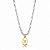 Choker Riviera Letra Y Bicolor - Imagem 1