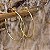 Brinco Argola Nina Semijoia Ouro - Imagem 1