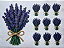 Lavanda e lavandinhas - Imagem 1
