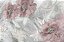 Papel de Parede Adesivo com Flores Gigantes e Borboletas - Imagem 4