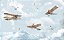Papel de Parede Infantil de Aviões nas Geleiras Pássaros - Imagem 5