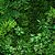 Papel de parede Jardim vertical AL 02 - Imagem 6