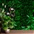 Papel de parede Jardim vertical AL 02 - Imagem 3
