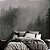 Papel de Parede Painel Fotográfico Floresta coberta com Neblina - Imagem 4