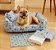 Enxoval para Cachorro Palm Springs Blue - Imagem 1