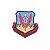 Patch Bordado Air Combat Command com Fecho de Contato - Imagem 1
