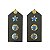 Platina de Tenente Coronel - Imagem 1