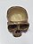 Bebedouro Caveira  Pequeno Para Repteis Bb 118 Artexotics - Imagem 2
