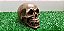 Enfeite Mini Cranio Caveira Maciça Decoração 3 unidades - Imagem 1