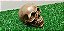 Enfeite Mini Cranio Caveira Maciça Decoração 3 unidades - Imagem 3