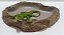 Comedouro Grande Para Repteis Cm 005 Artexotics - Imagem 5