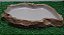 Comedouro Extra Grande Para Repteis Cm 006 Artexotics - Imagem 4