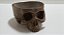 Bebedouro Caveira Para Repteis Bb 113 Artexotics - Imagem 1