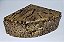 Kit Gecko, Leopard Gecko Kit-032, Artexotics - Imagem 2