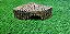Kit Gecko, Leopard Gecko Kit-031, Artexotics - Imagem 4