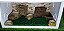 Kit Gecko, Leopard Gecko Kit-031, Artexotics - Imagem 5