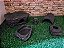 Kit Gecko, Leopard Gecko Preto Kit-008, Artexotics - Imagem 5