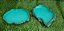 Kit Collor Jabuti Adulto Kit-004 , Artexotics - Imagem 2
