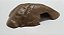 Kit Gecko, Leopard Gecko Kit-019, Artexotics - Imagem 3