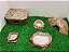 Kit Gecko, Leopard Gecko Kit-019, Artexotics - Imagem 1