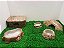 Kit Gecko, Leopard Gecko Kit-019, Artexotics - Imagem 7