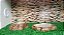 Kit Iguana-011, Artexotics - Imagem 2