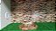 Kit Iguana-011, Artexotics - Imagem 3
