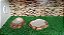 Kit Iguana-011, Artexotics - Imagem 5