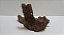 Kit Corn Snake Adulta, Kit-006, Artexotics - Imagem 8