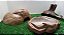 Kit Corn Snake Adulta, Kit-006, Artexotics - Imagem 1