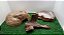 Kit Corn Snake Adulta, Kit-006, Artexotics - Imagem 5