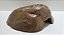 Kit Corn Snake Adulta, Kit-006, Artexotics - Imagem 6