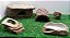 Kit Gecko, Leopard Gecko Kit-008, Artexotics - Imagem 8