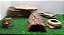 Kit Gecko, Leopard Gecko Kit-008, Artexotics - Imagem 10