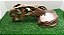Kit T-rex, Kit-009, Artexotics - Imagem 1