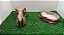 Kit T-rex, Kit-009, Artexotics - Imagem 7