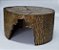 Toca Grande Jabuti, Python, Jiboia Tc 217 Artexotics - Imagem 6