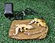 Pedra Aquecida Pequena Reptil Gecko Corn Pogona  Artexotics Pe 310 - Imagem 4