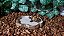 Chips de Coco Substrato p/ Terrario  Artexotics - Imagem 2