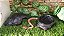 Kit Corn Snake Filhote, Kit-002, Artexotics - Imagem 3