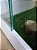 Terrário Para Iguana Completo, Repteis, Branco, Artexotics - Imagem 6
